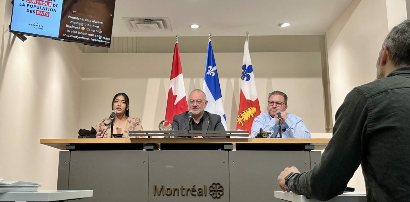 rats Montréal